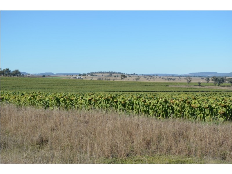 766 Umbiram Road, Umbiram QLD 4352