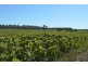 766 Umbiram Road, Umbiram QLD 4352