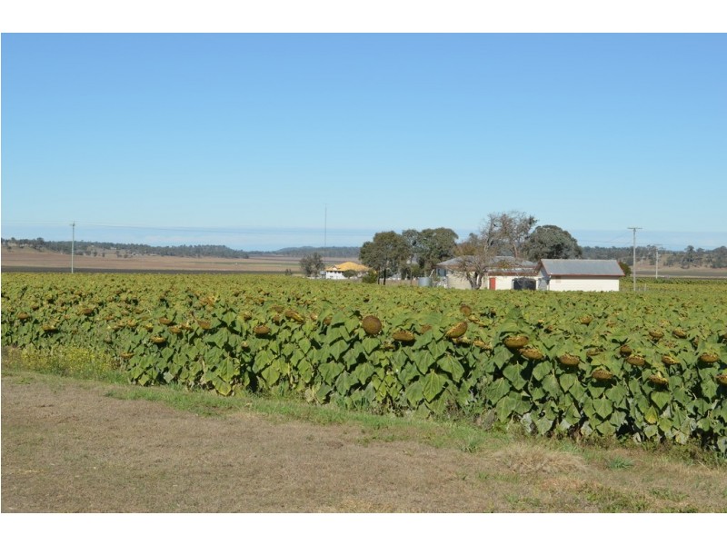 766 Umbiram Road, Umbiram QLD 4352