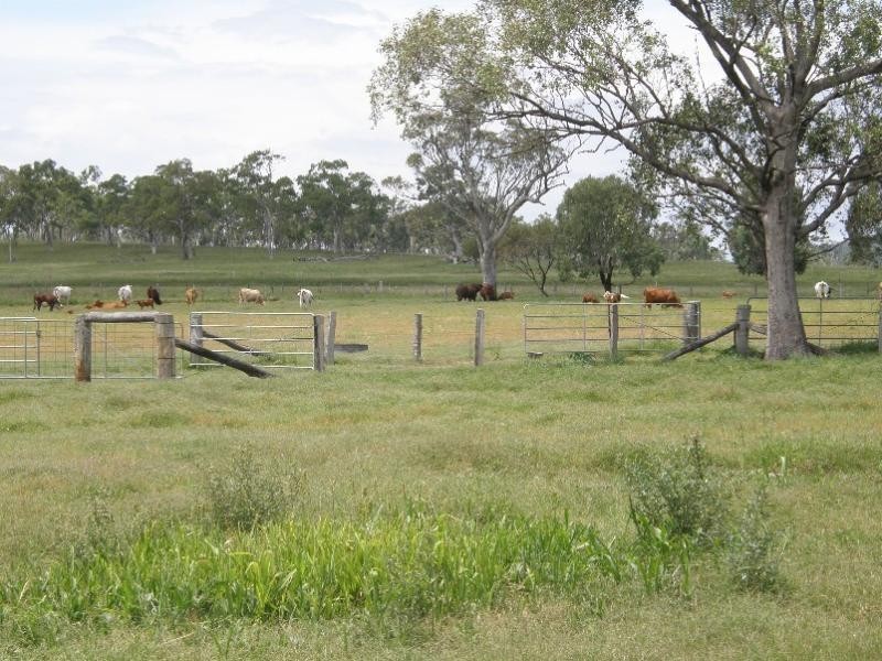 958 Clifton Pittsworth Road, Back Plains QLD 4361