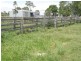 958 Clifton Pittsworth Road, Back Plains QLD 4361