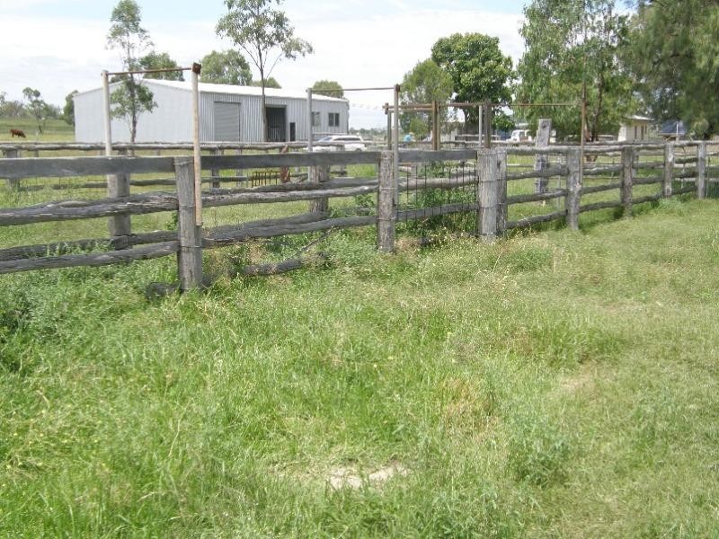 958 Clifton Pittsworth Road, Back Plains QLD 4361