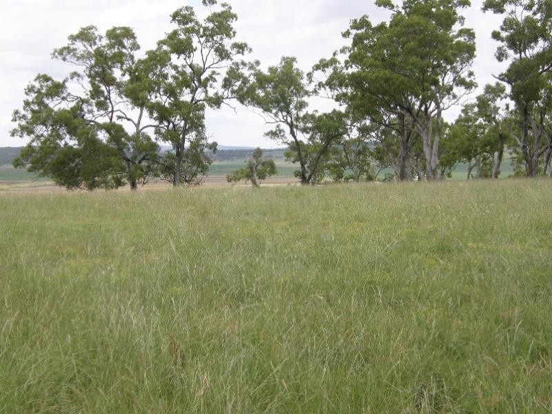 958 Clifton Pittsworth Road, Back Plains QLD 4361