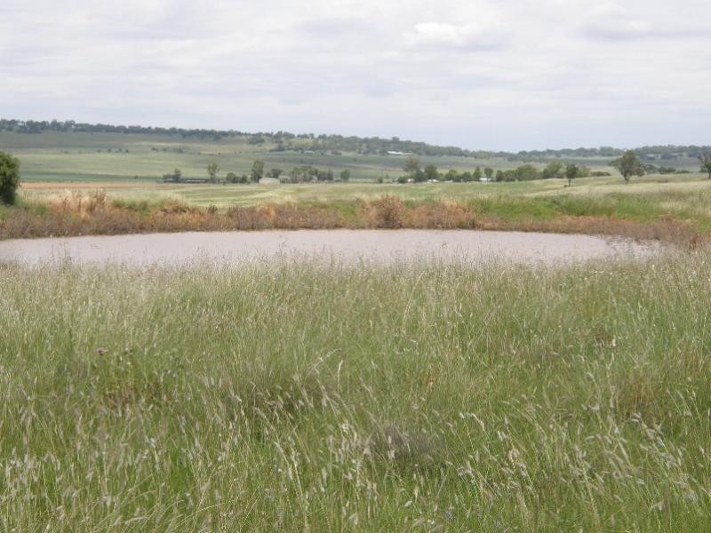 958 Clifton Pittsworth Road, Back Plains QLD 4361