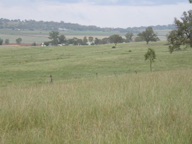 958 Clifton Pittsworth Road, Back Plains QLD 4361