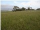 958 Clifton Pittsworth Road, Back Plains QLD 4361