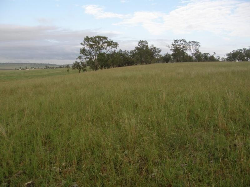 958 Clifton Pittsworth Road, Back Plains QLD 4361