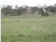 958 Clifton Pittsworth Road, Back Plains QLD 4361