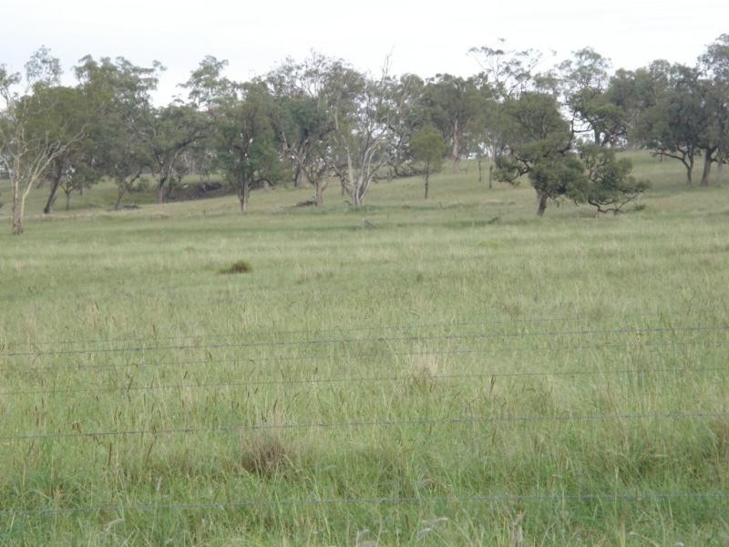 958 Clifton Pittsworth Road, Back Plains QLD 4361