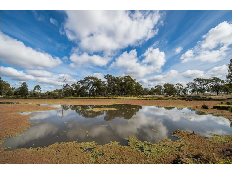 124 Frank Lebsanfts Road, Goombungee QLD 4354