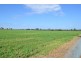 124 Frank Lebsanfts Road, Goombungee QLD 4354