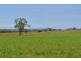 124 Frank Lebsanfts Road, Goombungee QLD 4354