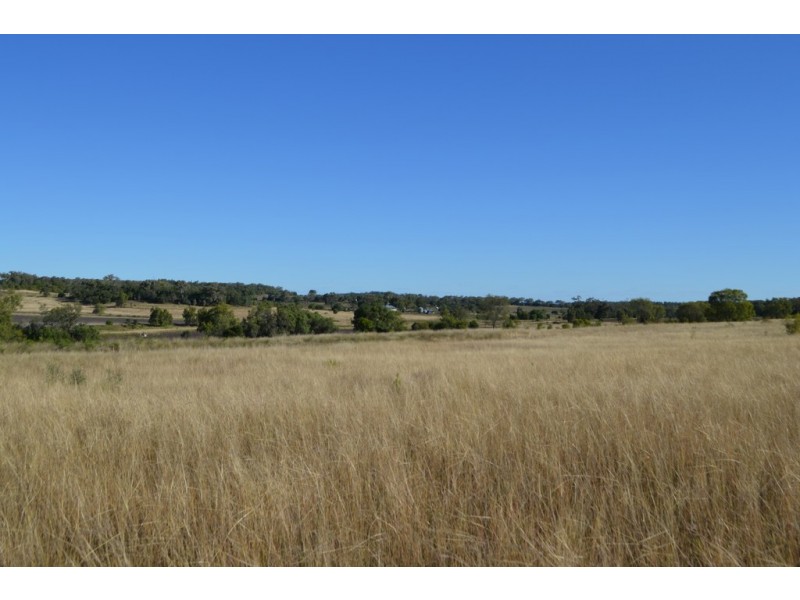 197 Irongate Road, Springside QLD 4356