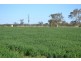 114 Wilsons Road, Windera QLD 4605