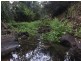 2261 Murphys Creek Road, Ballard QLD 4352