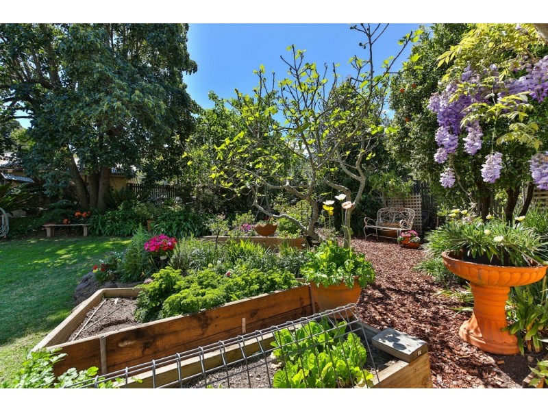 10 Mary St, Mount Lofty QLD 4350