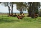 54-90 Hamlyn Road, Oakey QLD 4401