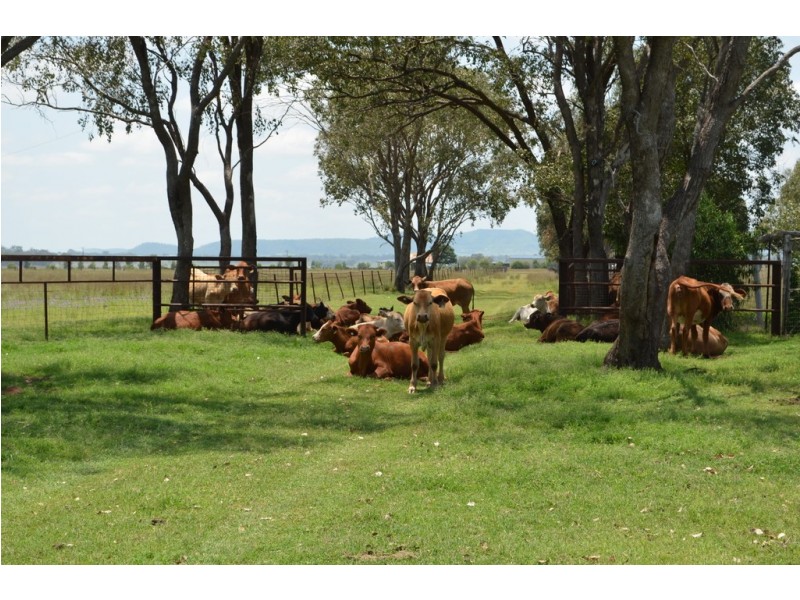 54-90 Hamlyn Road, Oakey QLD 4401