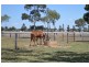54-90 Hamlyn Road, Oakey QLD 4401