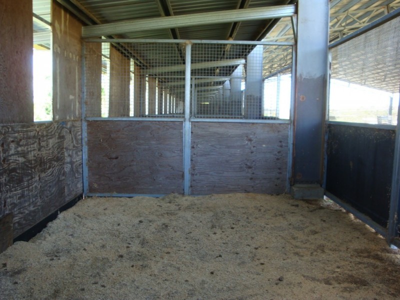 17341 New England Highway, Allora QLD 4362