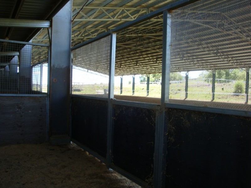 17341 New England Highway, Allora QLD 4362