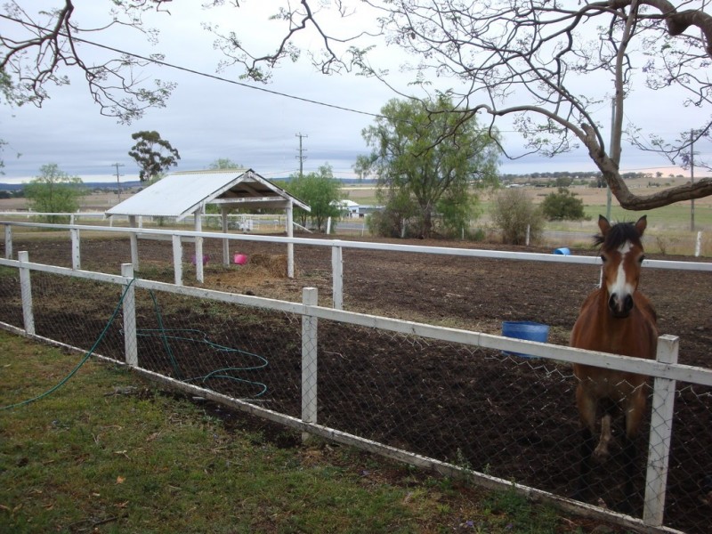 17341 New England Highway, Allora QLD 4362