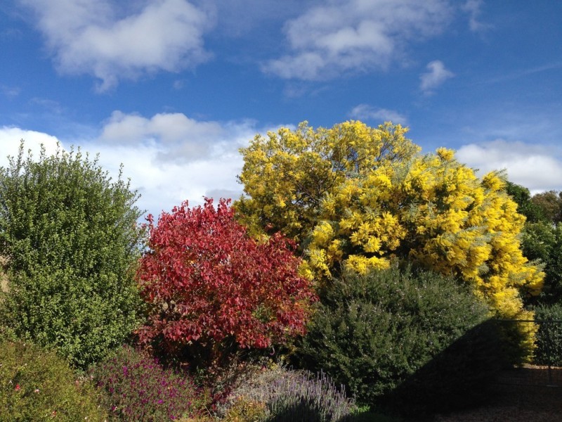 13803 New England Highway, Cambooya QLD 4358