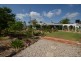 1557 Clifton Pittsworth Road, Pittsworth QLD 4356