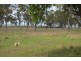 1557 Clifton Pittsworth Road, Pittsworth QLD 4356