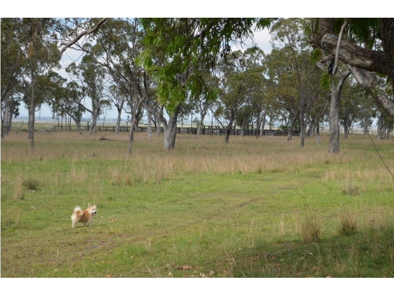 1557 Clifton Pittsworth Road, Pittsworth QLD 4356
