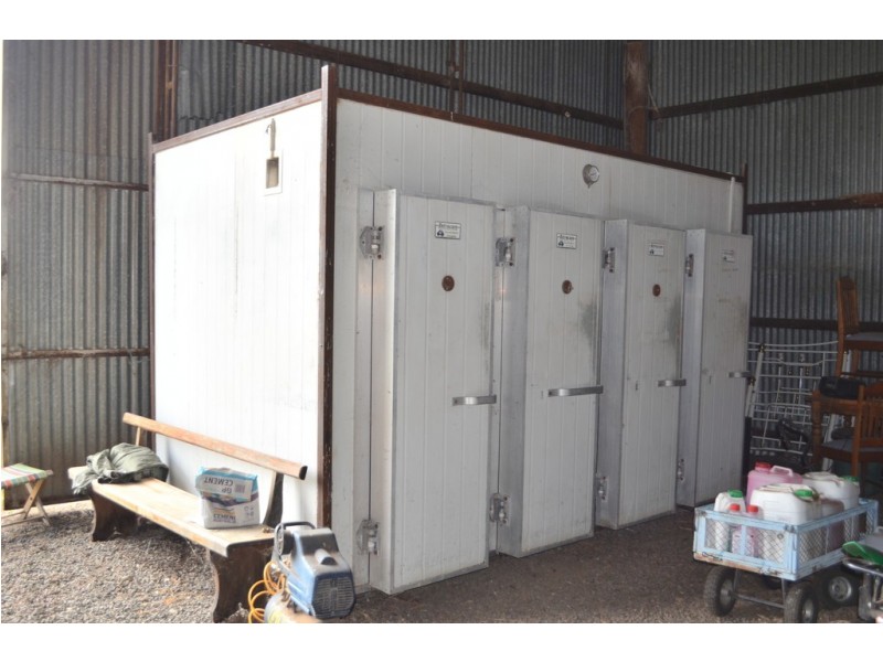 1557 Clifton Pittsworth Road, Pittsworth QLD 4356