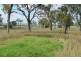 1557 Clifton Pittsworth Road, Pittsworth QLD 4356