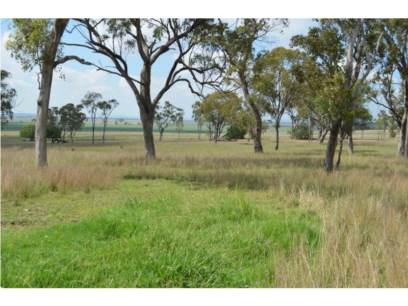 1557 Clifton Pittsworth Road, Pittsworth QLD 4356