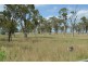 1557 Clifton Pittsworth Road, Pittsworth QLD 4356
