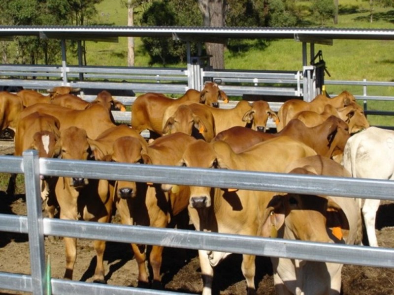 500 Cainbable Creek Road, Cainbable QLD 4285
