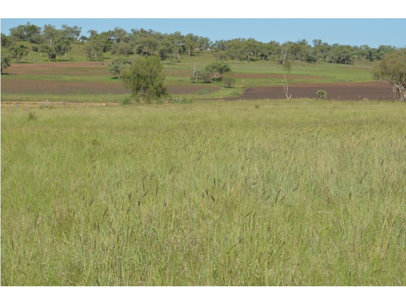 258 Motley Mount Tyson Road, Mount Tyson QLD 4356