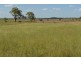 258 Motley Mount Tyson Road, Mount Tyson QLD 4356