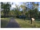11 Gosper Road, Murphys Creek QLD 4352
