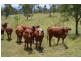Lot 3-4 Halls Road, Goomburra QLD 4362