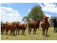 Lot 3-4 Halls Road, Goomburra QLD 4362
