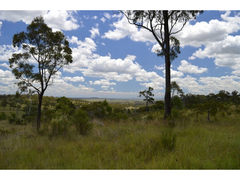 Lot 3-4 Halls Road, Goomburra QLD 4362