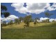 Lot 3-4 Halls Road, Goomburra QLD 4362