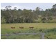 2212 Pierce Creek Road, Emu Creek QLD 4355