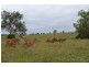 2212 Pierce Creek Road, Emu Creek QLD 4355