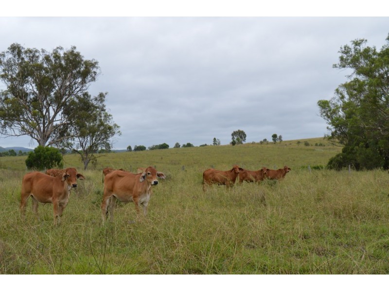 2212 Pierce Creek Road, Emu Creek QLD 4355