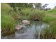 2212 Pierce Creek Road, Emu Creek QLD 4355