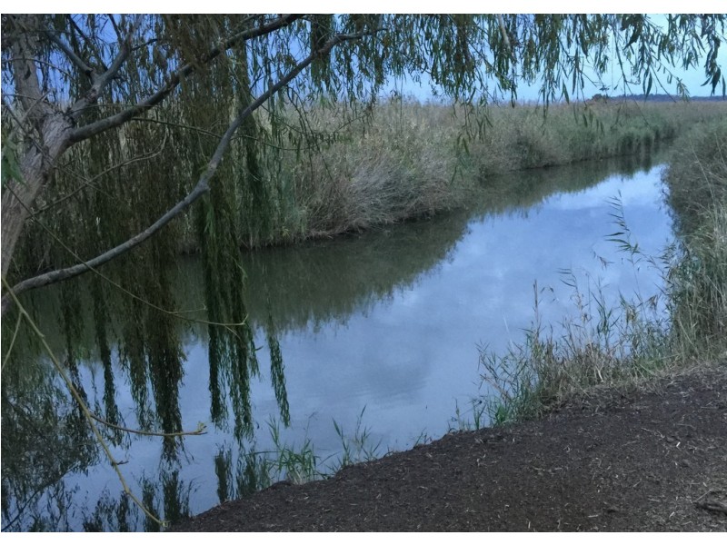 Lot 7 Henningsen Road, Oakey QLD 4401