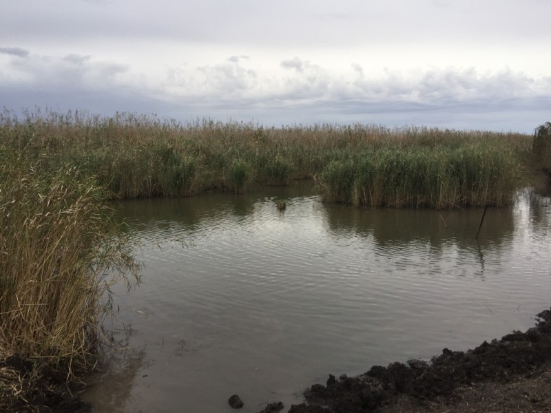 Lot 7 Henningsen Road, Oakey QLD 4401