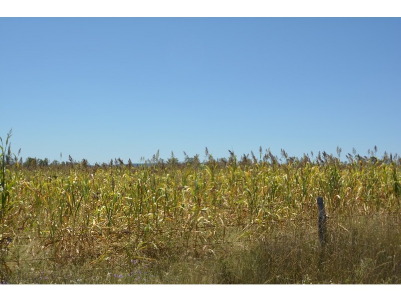 Lot 7 Henningsen Road, Oakey QLD 4401
