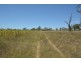 Lot 7 Henningsen Road, Oakey QLD 4401